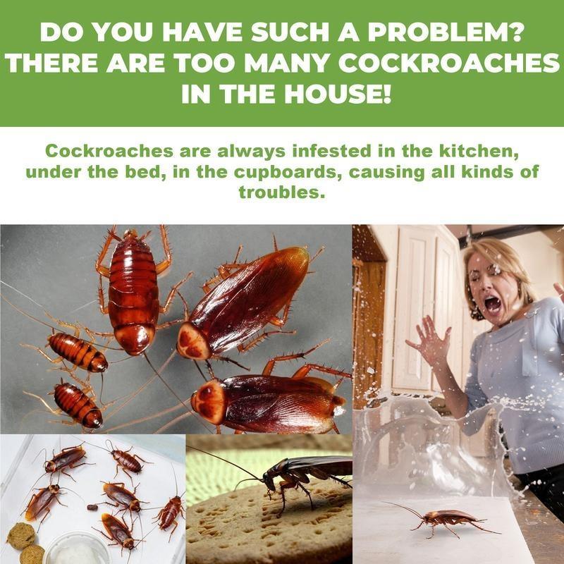 ☠️Domestic Dormitory Kitchen Powerful Cleaning Cockroach
