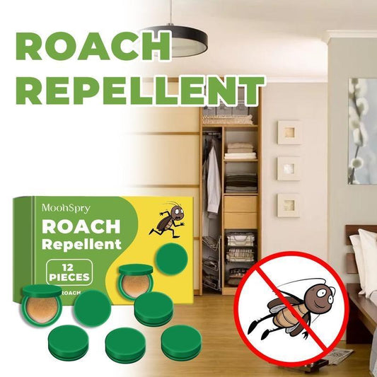 ☠️Domestic Dormitory Kitchen Powerful Cleaning Cockroach