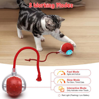 🔥Last Week Clearance Sale 49% OFF🐾Automatic Interactive Pet Toys Ball🎁BUY MORE FREE MORE