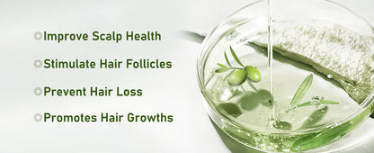 Organic Rosemary Hair Growth Shampoo -hz