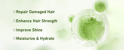 Organic Rosemary Hair Growth Shampoo -hz