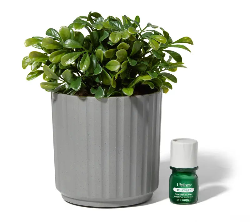 🔥 BUY MORE SAVE MORE Lifelines Rechargeable Fauxe Plant Aroma Diffuser