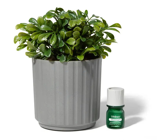 🔥 BUY MORE SAVE MORE Lifelines Rechargeable Fauxe Plant Aroma Diffuser