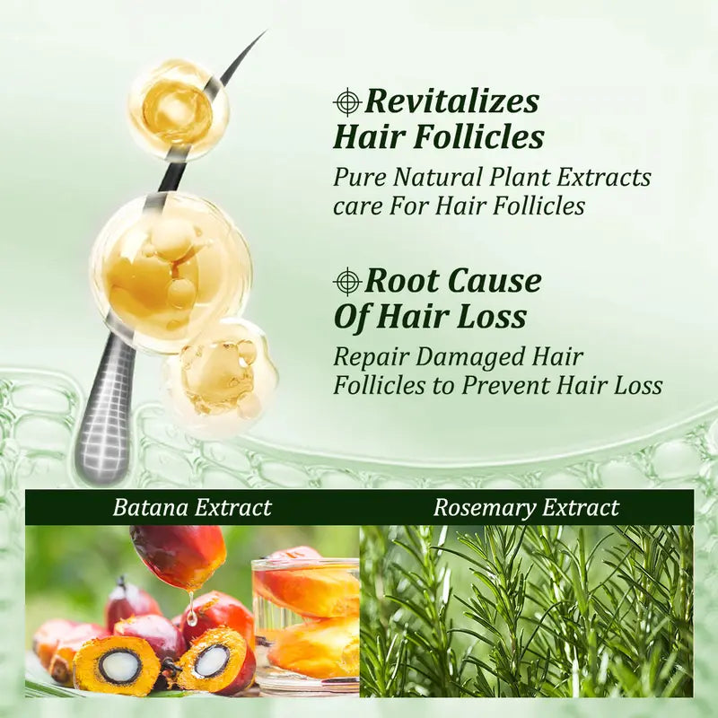 Gypsophila Batana Oil Shampoo – Rosemary Cleanse for Fuller-Looking Hair (10.14 fl oz / 300 mL)