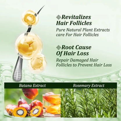 Gypsophila Batana Oil Shampoo – Rosemary Cleanse for Fuller-Looking Hair (10.14 fl oz / 300 mL)