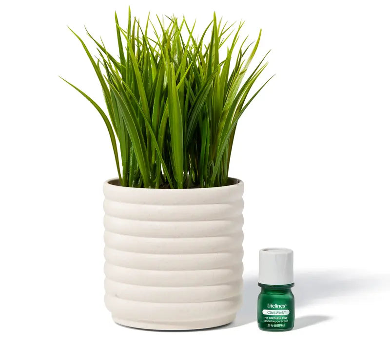 🔥 BUY MORE SAVE MORE Lifelines Rechargeable Fauxe Plant Aroma Diffuser