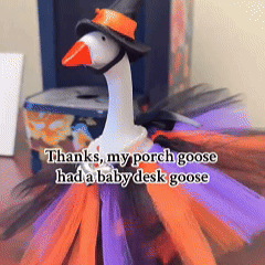 🦆&🦢Funny Goose Key Holder, Bedroom Decor, Housewarming Gifts