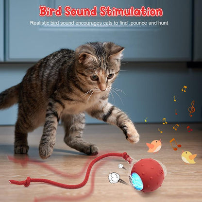 🔥Last Week Clearance Sale 49% OFF🐾Automatic Interactive Pet Toys Ball🎁BUY MORE FREE MORE