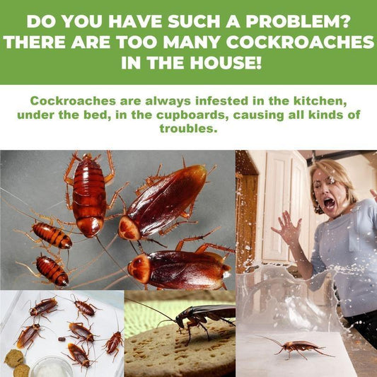 ☠️Domestic Dormitory Kitchen Powerful Cleaning Cockroach