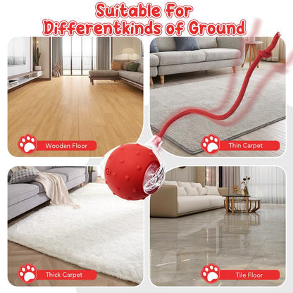 🔥Last Week Clearance Sale 49% OFF🐾Automatic Interactive Pet Toys Ball🎁BUY MORE FREE MORE