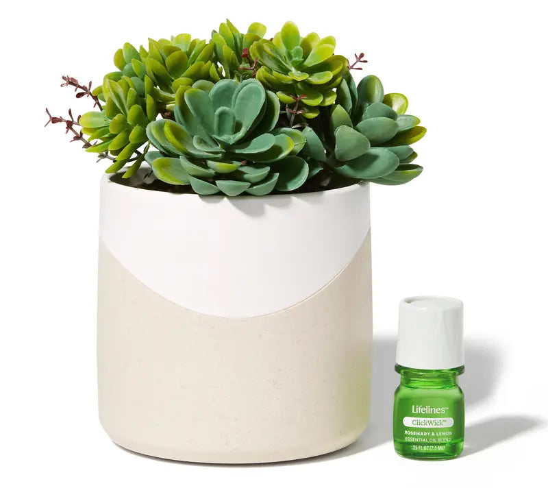 🔥 BUY MORE SAVE MORE Lifelines Rechargeable Fauxe Plant Aroma Diffuser