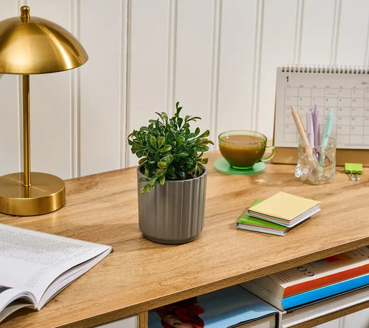 🔥 BUY MORE SAVE MORE Lifelines Rechargeable Fauxe Plant Aroma Diffuser