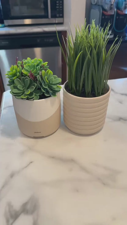 🔥 BUY MORE SAVE MORE Lifelines Rechargeable Fauxe Plant Aroma Diffuser